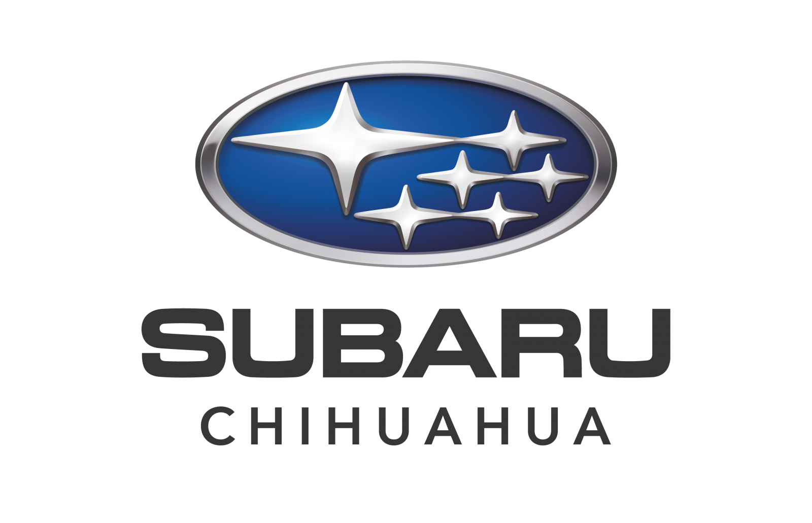 SUBARU CHIHUAHUA