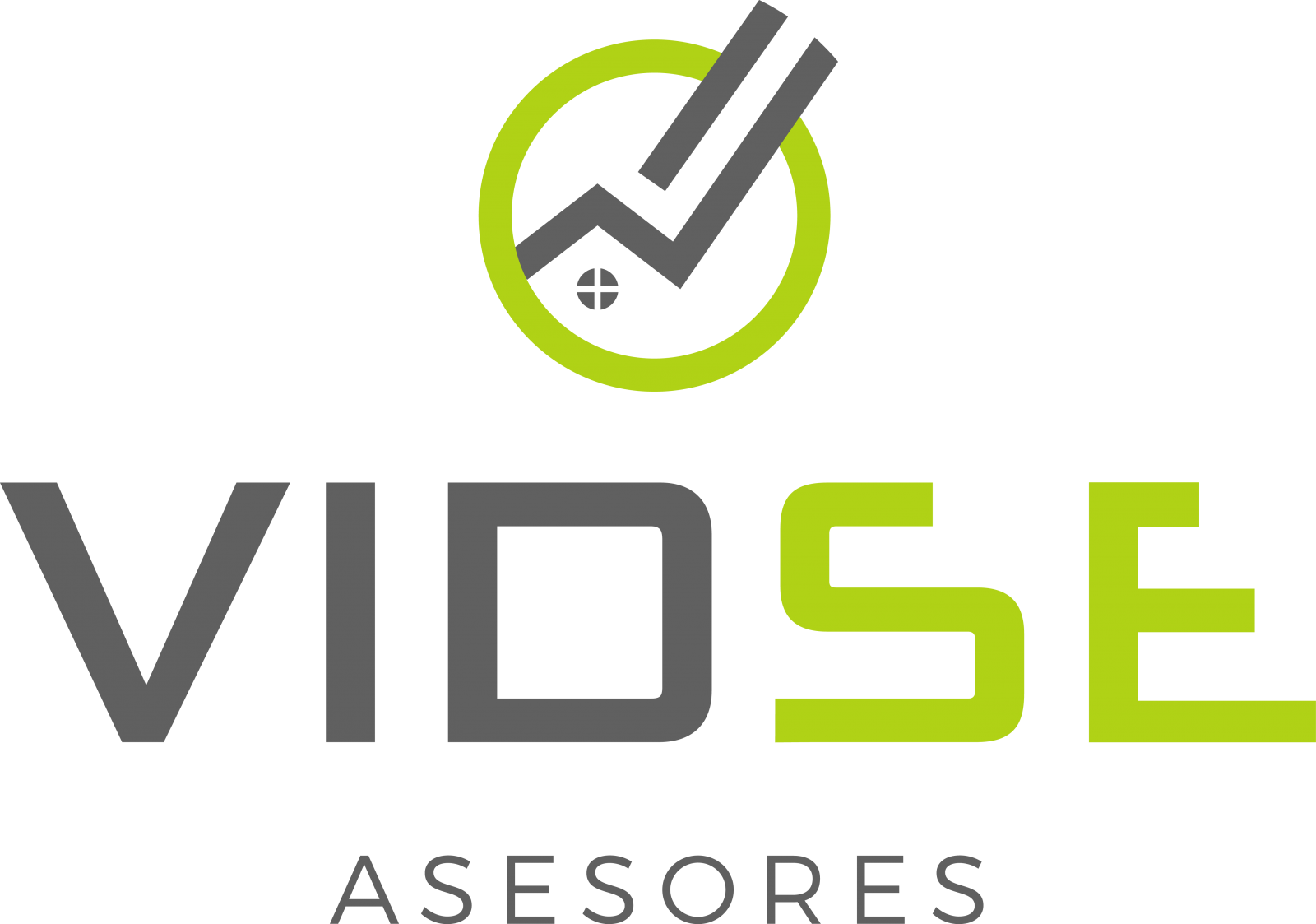 VIDSE ASESORES